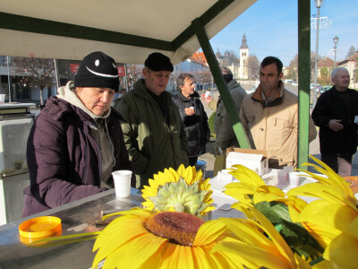 Predstavljamo Pčelarsku udrugu Bagrem iz Daruvara