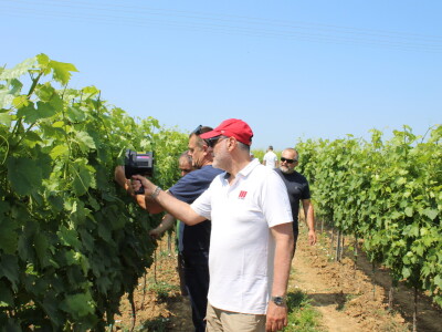 Agro-tok Vinarija Trs Ilok