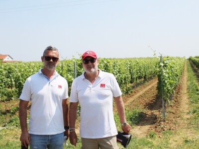 Agro-tok Vinarija Trs Ilok