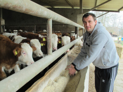 Tov teladi – isplativa grana poljoprivrede Tov teladi – isplativa grana poljoprivrede