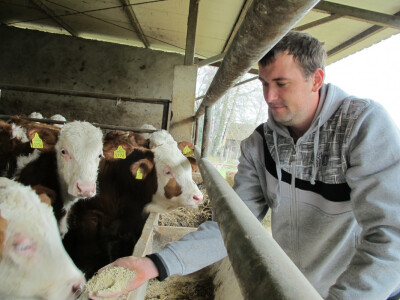 Tov teladi – isplativa grana poljoprivrede Tov teladi – isplativa grana poljoprivrede