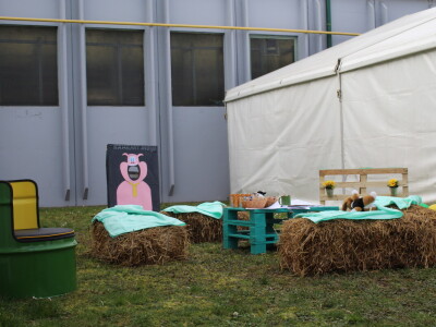 Dani otvorenih vrata u Novocommercu