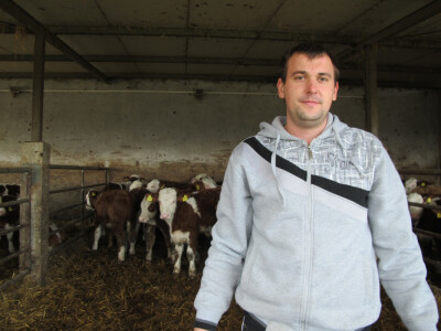 Tov teladi – isplativa grana poljoprivrede Tov teladi – isplativa grana poljoprivrede