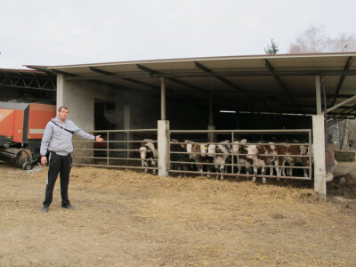 Tov teladi – isplativa grana poljoprivrede Tov teladi – isplativa grana poljoprivrede