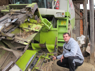 Tov teladi – isplativa grana poljoprivrede Tov teladi – isplativa grana poljoprivrede