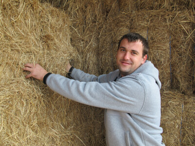 Tov teladi – isplativa grana poljoprivrede Tov teladi – isplativa grana poljoprivrede