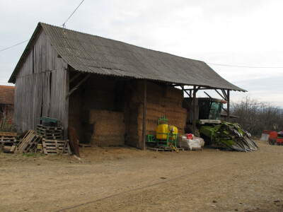 Tov teladi – isplativa grana poljoprivrede Tov teladi – isplativa grana poljoprivrede