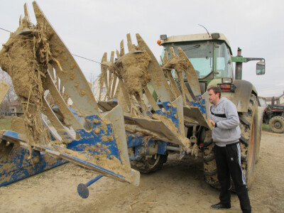 Tov teladi – isplativa grana poljoprivrede Tov teladi – isplativa grana poljoprivrede