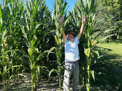 OPG Koprivanac Šljivoševci