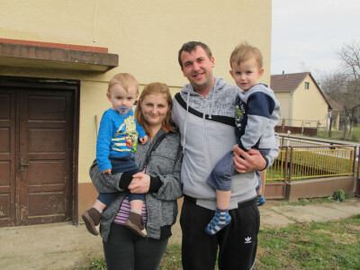 Tov teladi – isplativa grana poljoprivrede Tov teladi – isplativa grana poljoprivrede