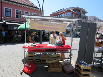 Manifestacija "Plodovi ljeta 2022" u Prijedoru