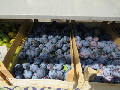 Manifestacija "Plodovi ljeta 2022" u Prijedoru