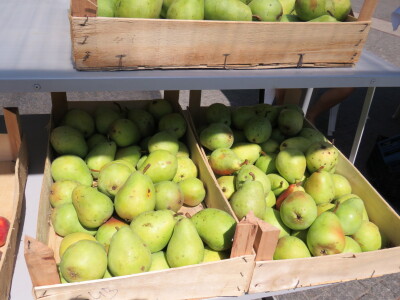 Manifestacija "Plodovi ljeta 2022" u Prijedoru