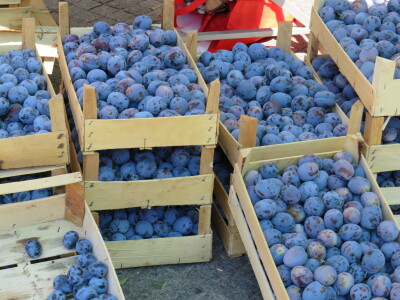 Manifestacija "Plodovi ljeta 2022" u Prijedoru