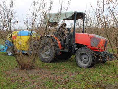 Atomizer Martignani u nasadu Baranjskih lješnjaka