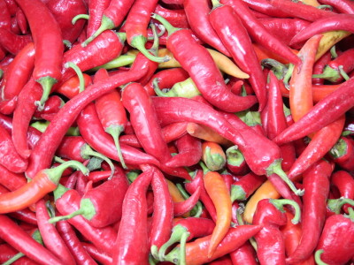 Plastenici Dimitrija Đurđevića iz Malih Radinaca