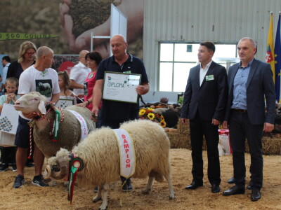 Državna stočarska izložba u Gudovcu 2022.