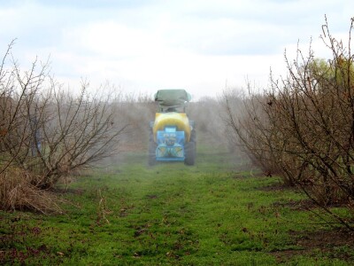 Atomizer Martignani u nasadu Baranjskih lješnjaka