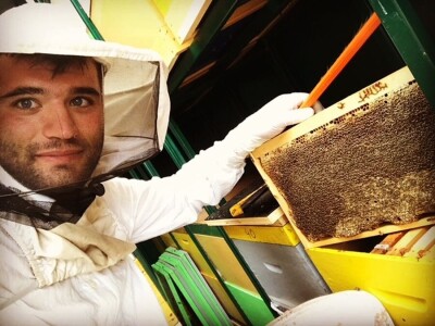 OPG Roguljić u Kučinama proizvodi med i pčelinje proizvode, soparnik, maslinovo ulje i suhe smokve te uzgaja buše