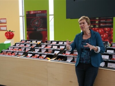 Posjet Nizozemskoj - Tomato World