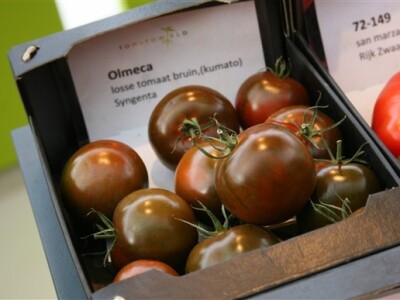 Posjet Nizozemskoj - Tomato World