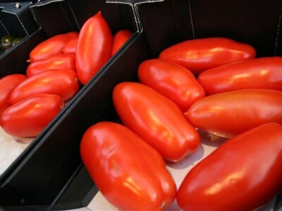 Posjet Nizozemskoj - Tomato World