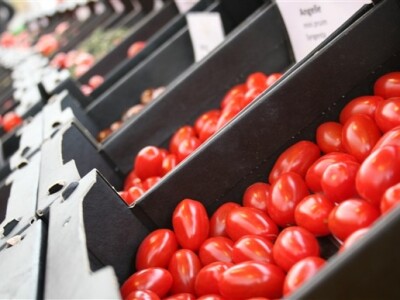 Posjet Nizozemskoj - Tomato World