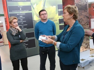 Posjet Nizozemskoj - Tomato World