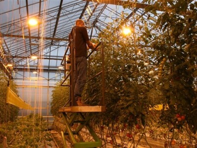 Posjet Nizozemskoj - Tomato World