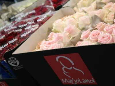 Sajam hortikulture - Horti Fair 2012 Sajam hortikulture - Horti Fair 2012