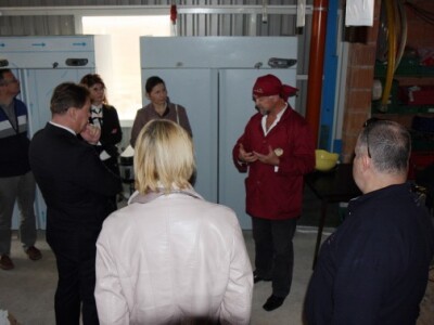 Korištenje organskog otpada u proizvodnji vina