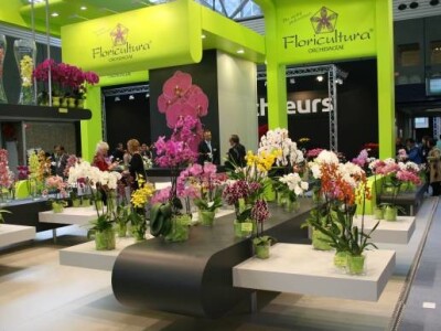 Sajam hortikulture - Horti Fair 2012 Sajam hortikulture - Horti Fair 2012