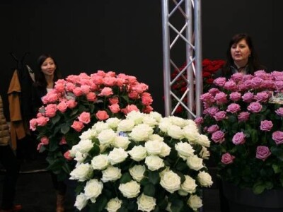 Sajam hortikulture - Horti Fair 2012 Sajam hortikulture - Horti Fair 2012