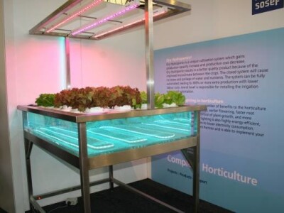 Sajam hortikulture - Horti Fair 2012 Sajam hortikulture - Horti Fair 2012