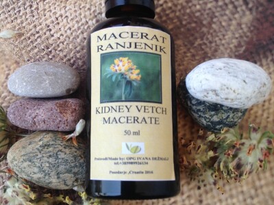 Proizvodi od maslinovog ulja, domaći proizvodi i prirodna kozmetika