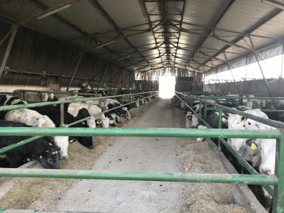 Farma Pankretić