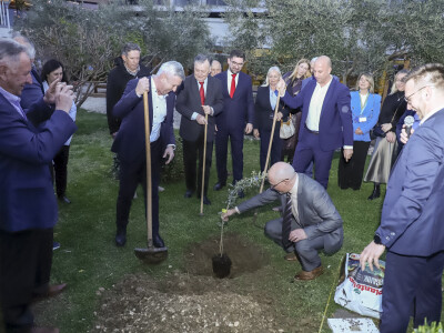 27. Međunarodna manifestacija maslinara i uljara Noćnjak 2025