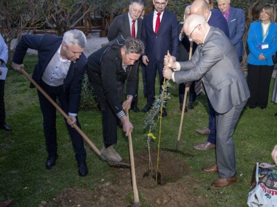 27. Međunarodna manifestacija maslinara i uljara Noćnjak 2025