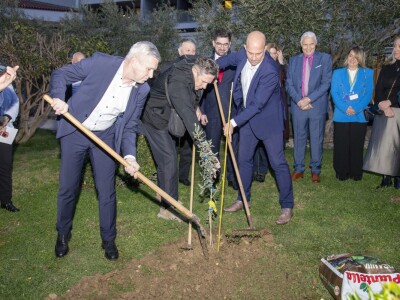 27. Međunarodna manifestacija maslinara i uljara Noćnjak 2025