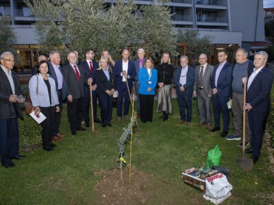 27. Međunarodna manifestacija maslinara i uljara Noćnjak 2025