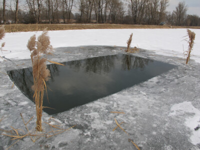 Rupe, osim za kisik ribama, služe i za kontrolu njihovog stanja, sadržaja kisika i mjerenja temperature vode