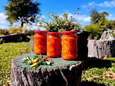 Anina domaća zimnica