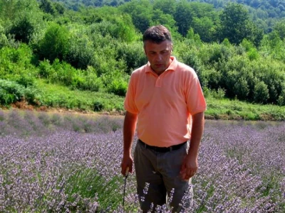 Vlasnik OPG Robert Poturica u polju lavande