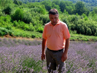 Vlasnik OPG Robert Poturica u polju lavande