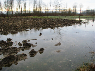 Hidromelioracioni sistem