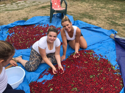 Đuro Pećanac bavi se preradom drenjine