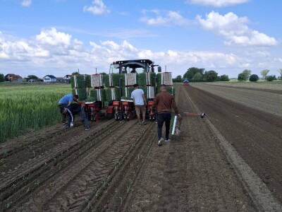 Netafim navodnjavanje na gospodarstvu Drožđek