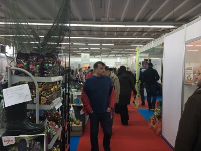 Viroexpo