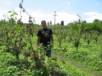 Dušan u svom voćnjaku