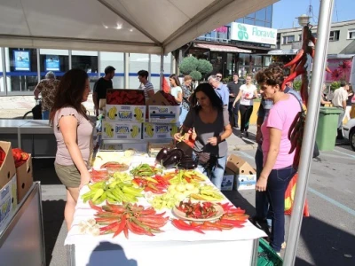 AgroExpo 2015.